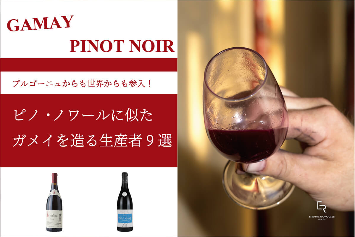 ブルゴーニュからも世界からも参入】ピノ・ノワールに似たガメイを造る生産者9選 東京ワインショップガイド